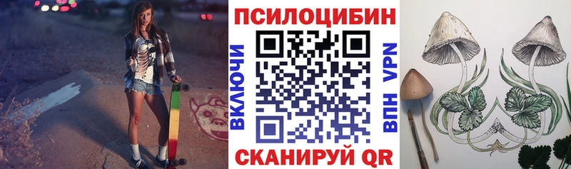 Купить Спасск-Дальний Псилоцибиновые грибы Cubensis